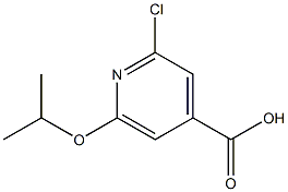 氯 异丙氧基异烟酸