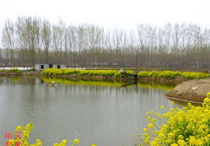 鱼塘消毒的常用药剂有哪些